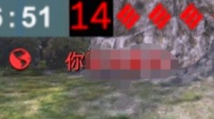 video-2365641