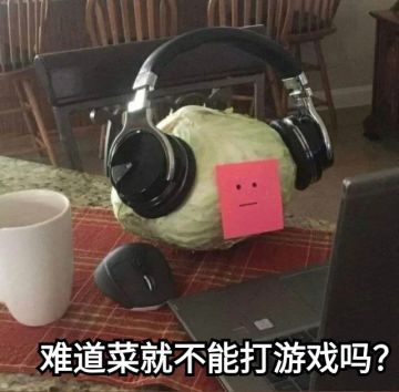 萌新的二三观点