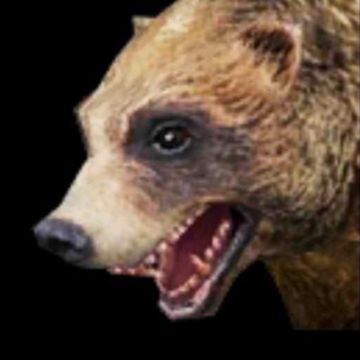 【幸存者联盟】怪物图鉴-熊