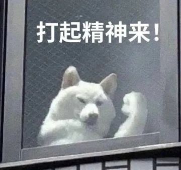 二周年蛋糕大作战获得数据