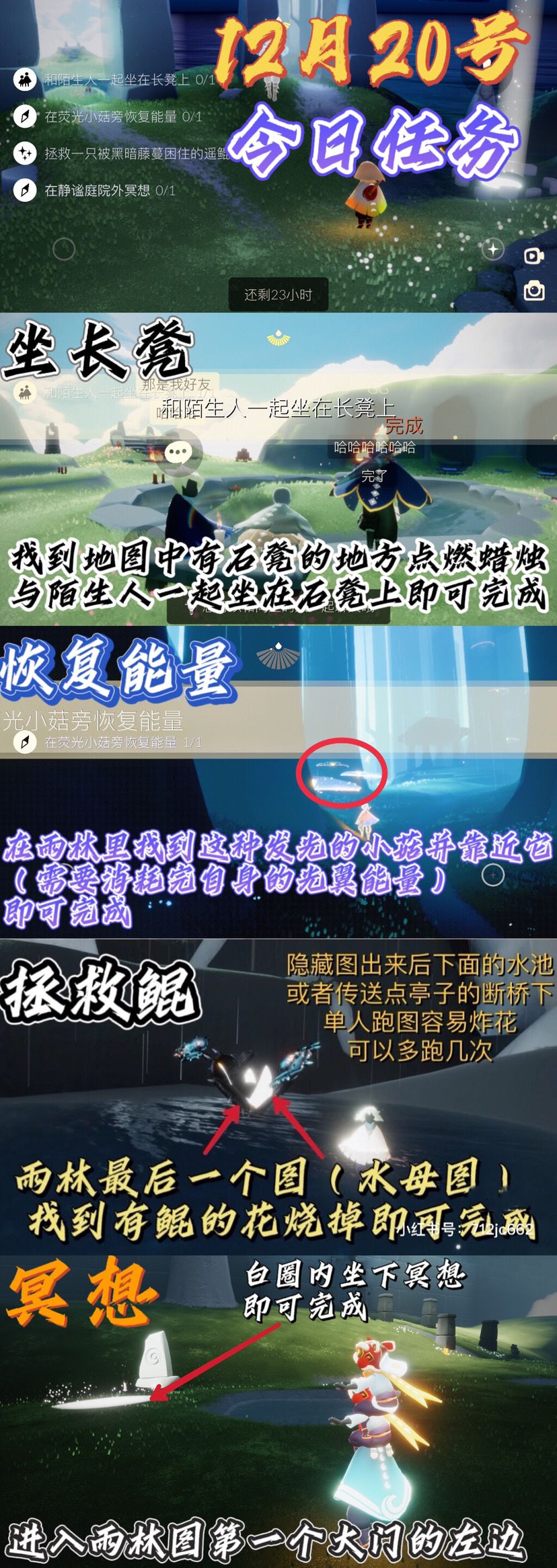 光遇每日任务截图