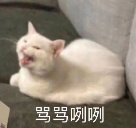 吐槽一下我的悲惨经历截图