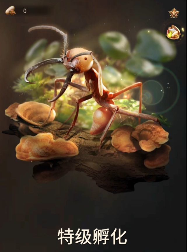 特级孵化界面的是什么蚂蚁截图