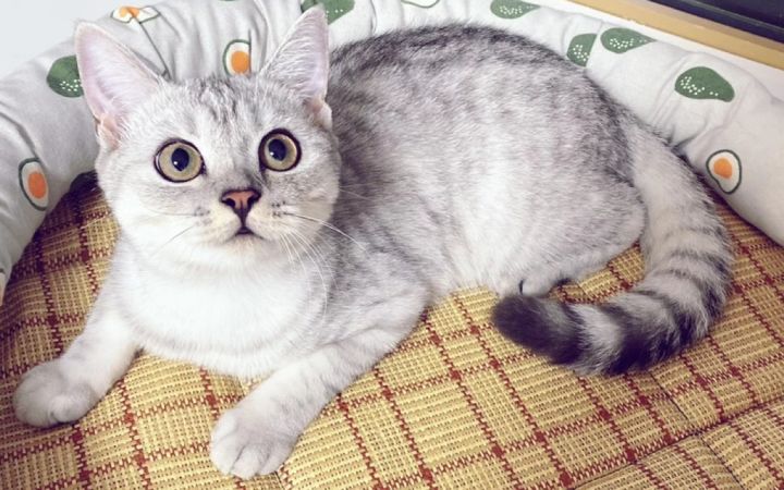 阿呆真是太欺负莎莎啦❤️🩹😓截图