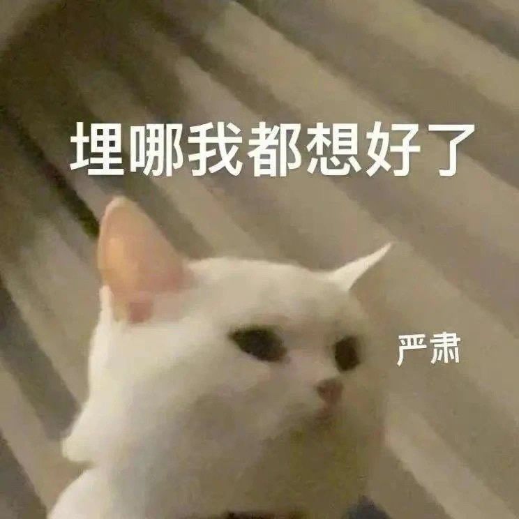 《进化》截图