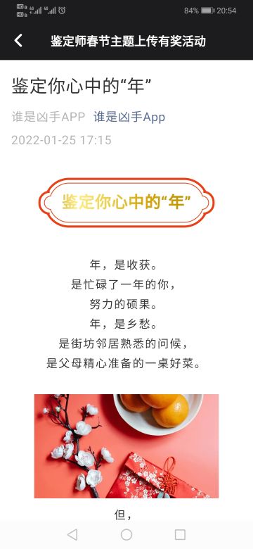 鉴定师-年的故事