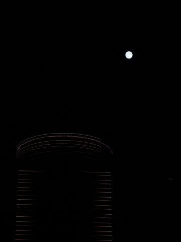 写给相似的星星