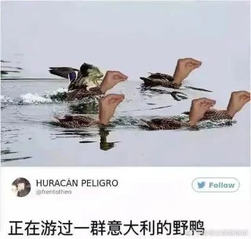 如何 拉非尔-菠萝披萨