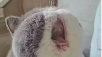 刷鉴定玄学（已刷出一套-10cd暗，-8cd冰的暗域套）