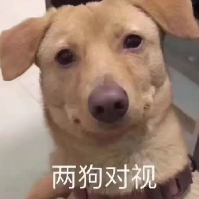 玩不起就别玩 1截图