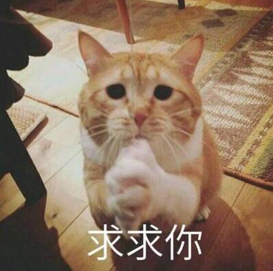 给个资格截图