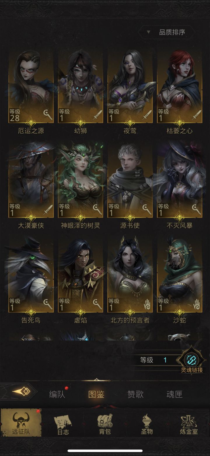 大佬们，怎么配队啊截图