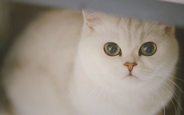 🧏‍♀️这次莎莎要感谢谁哦☺️♥️截图