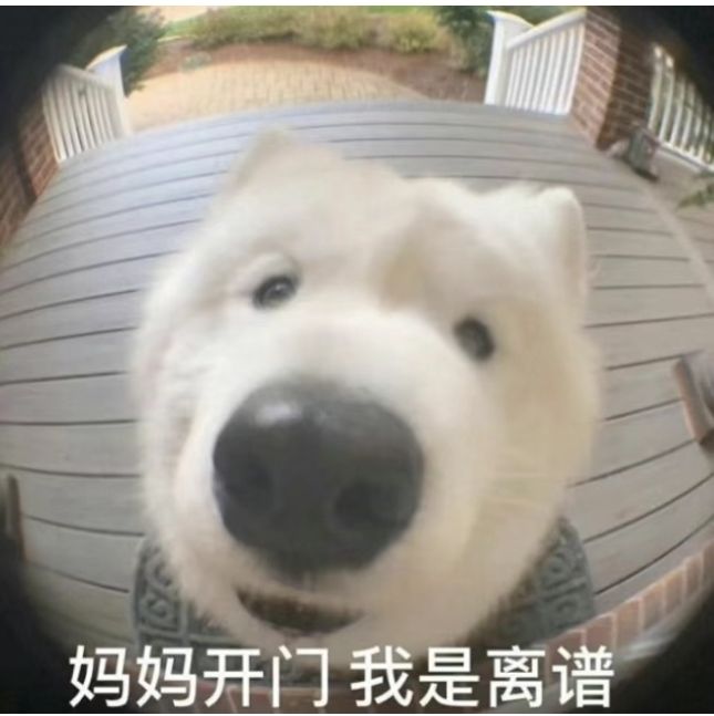 一区都爆满吗截图