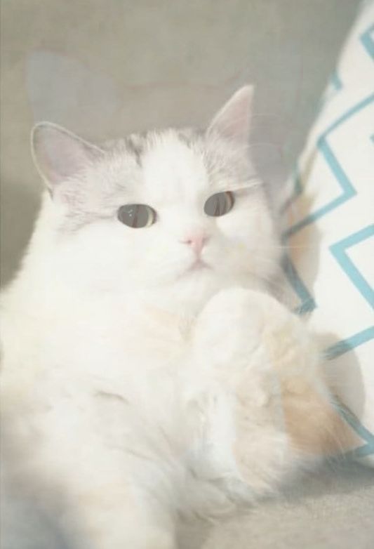 猜猜我是谁的小号截图