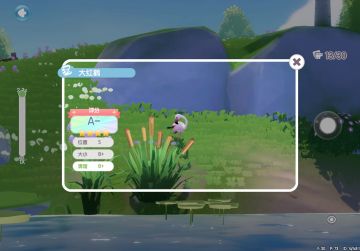 拍到大红鹳四星观鸟技巧