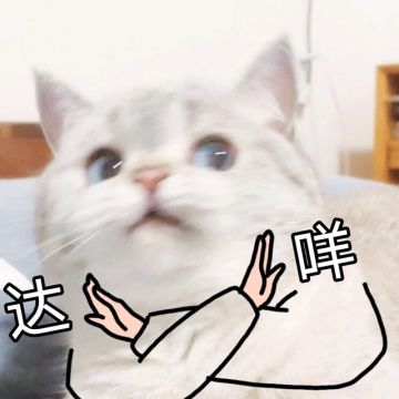 本周有大概率体验服更新哦
