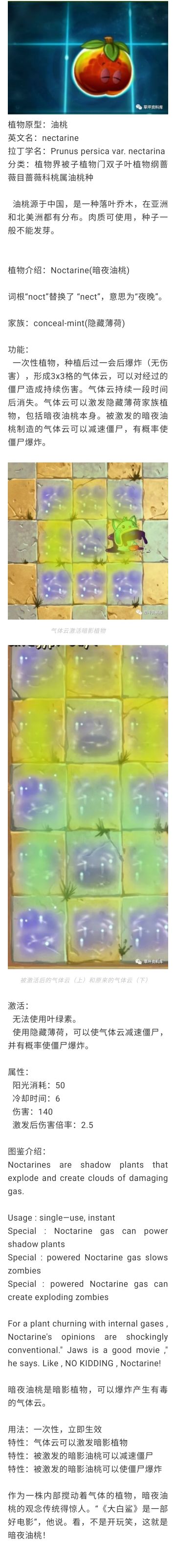 【植物图鉴】暗夜油桃