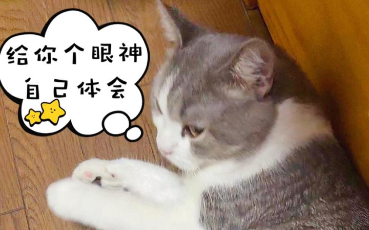 B格猫大飞碟回血Bug截图