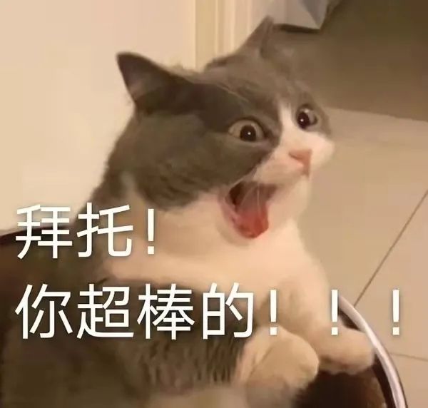 7区手残小萌新1278血84攻过甲啦截图