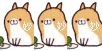 福利时间( ´ ▽ ` )ﾉ来自2021年江湖的第三份小礼~