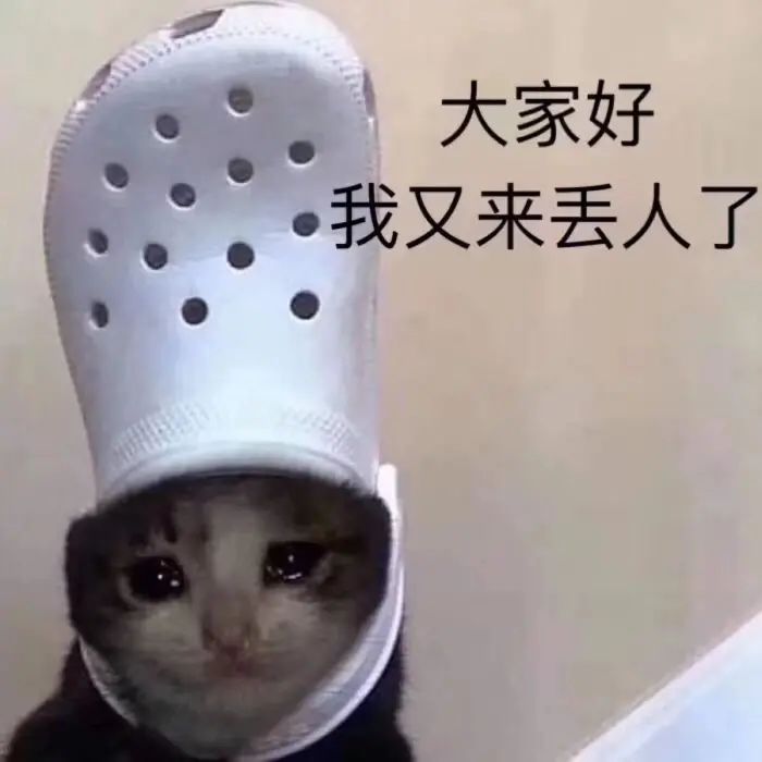 传三找室友截图