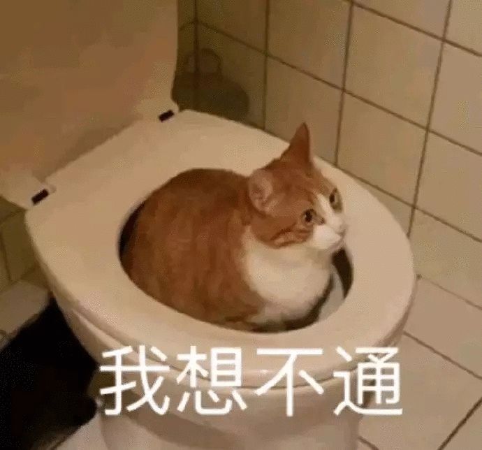 一个月不来美人鱼这正常嘛🤔截图