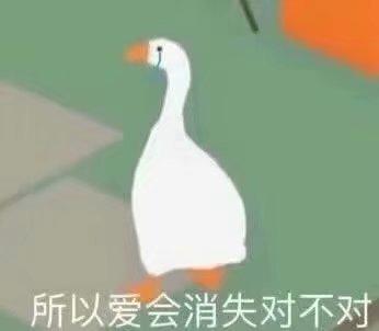 入坑第三天打卡截图