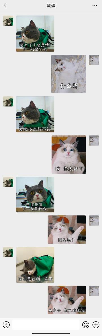 【表情包专栏】万水千山总是情，爱我多点行不行？