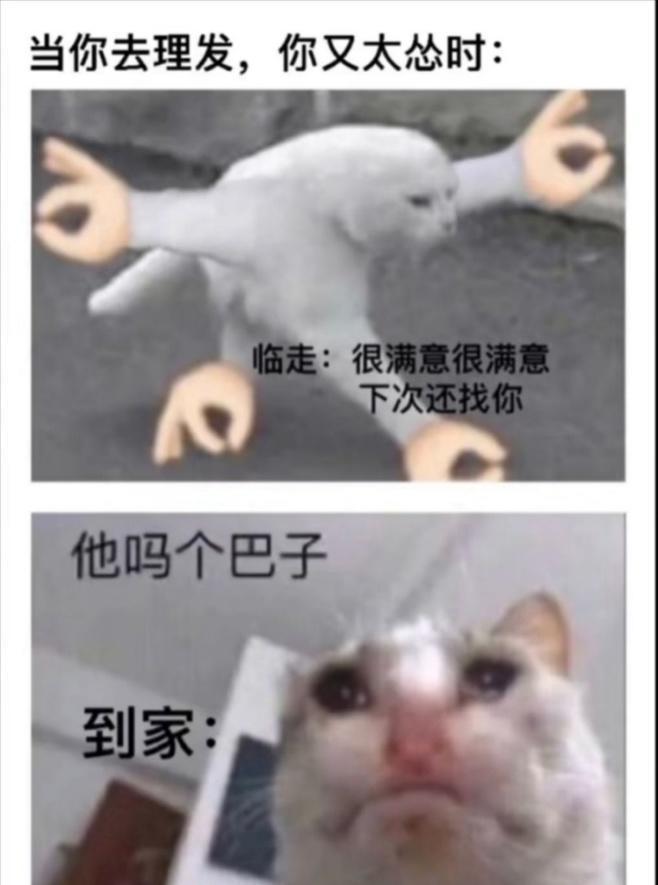 小学生一个星期就只能玩一天截图