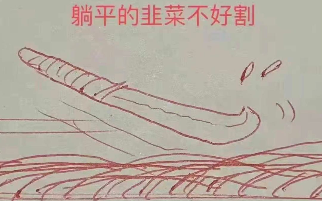 video-2877511