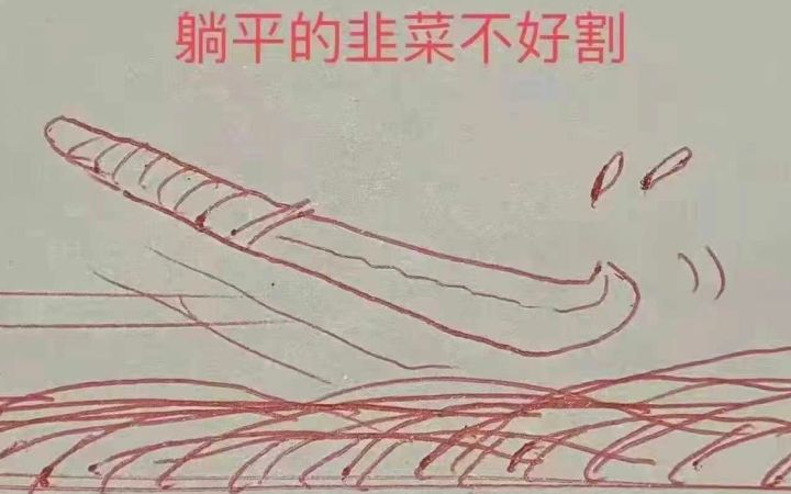 超低练度过3-9平均22级截图