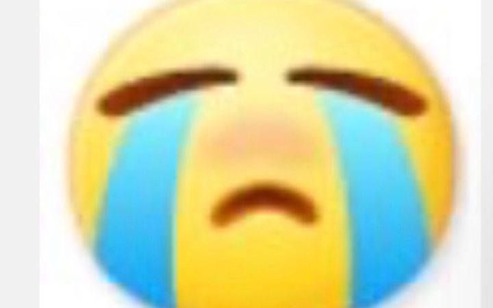 😭对不起啊我的队友截图