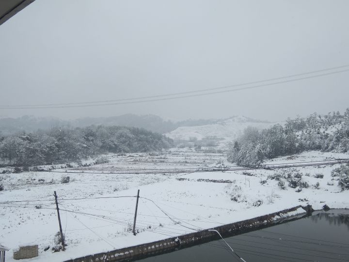 《武汉2022年的第一场大雪》截图