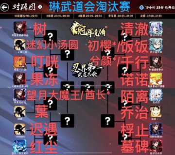 第十四届武道会（一服）琳16强运动员表（回复心仪冠军参与抽奖）
