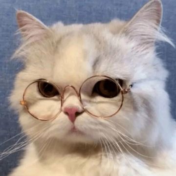 华山论剑——终章