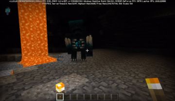 Marcio：Warden行为展示