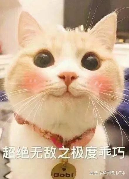 dd个师傅截图