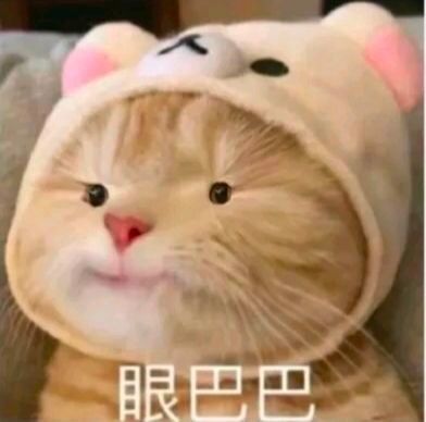~截图