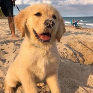 人物传记之濡沫殿堂刀主孙逍遥