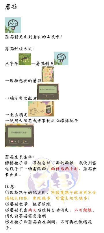 蘑菇来啦！！！