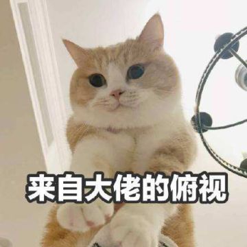 #狼人夜话#你在狼人杀里达到的最高段位是？