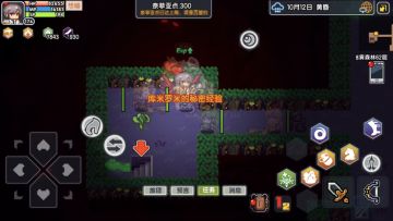 库米罗米的秘密经验