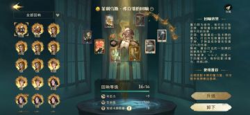 弗立维训练赛专属卡组（无白龙）