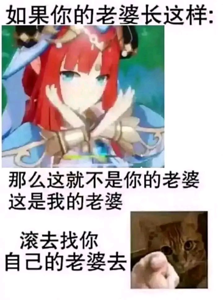 妮露和我结婚的十个理由截图