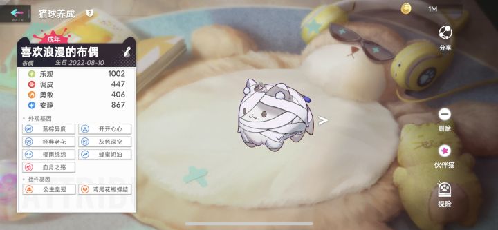 ios猫咪眼睛问题截图