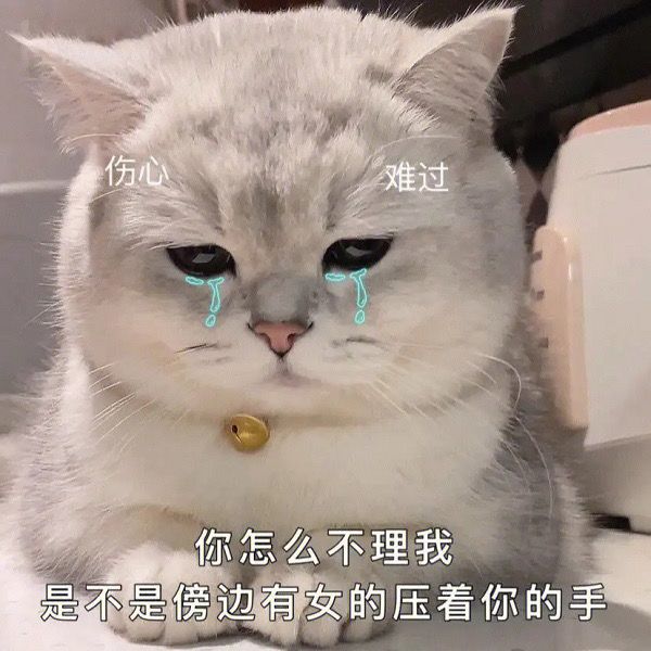 兄弟们，新手玩什么职业？能小氪截图