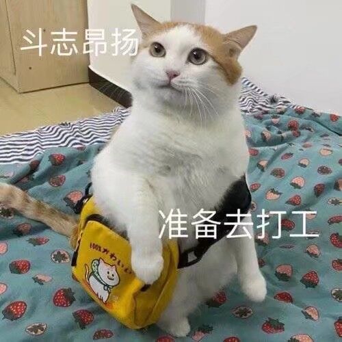 再见了映月城截图