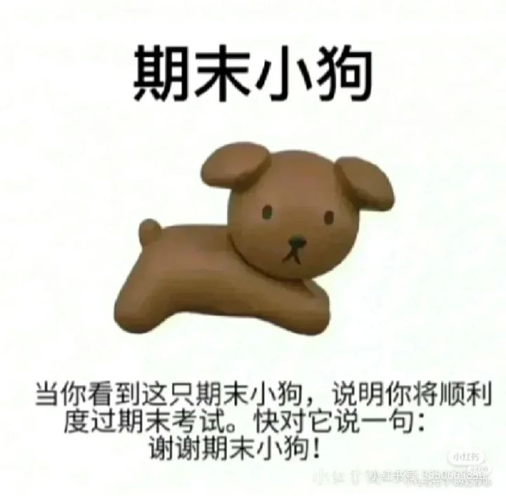 新版本双枪可以称为版本之子截图