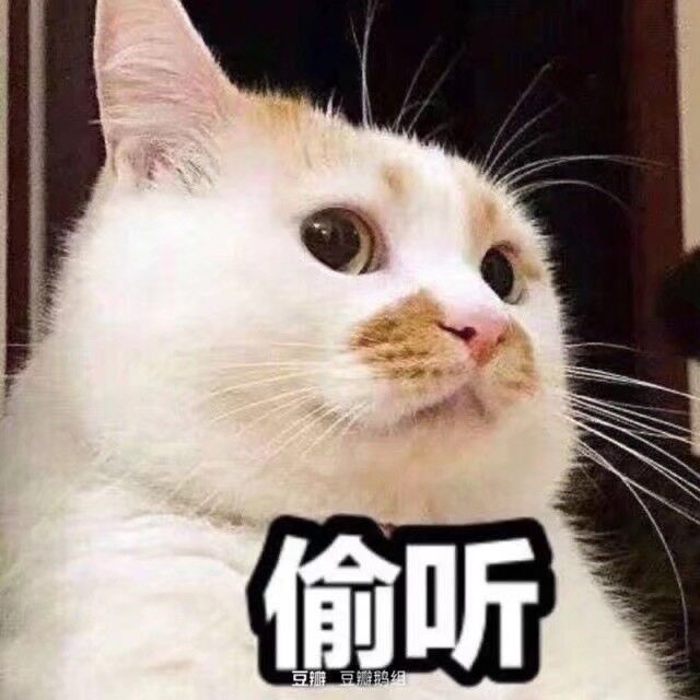 有养老玩家和我一样只玩自建房的吗?🤣截图